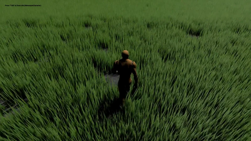 Grass Interactive